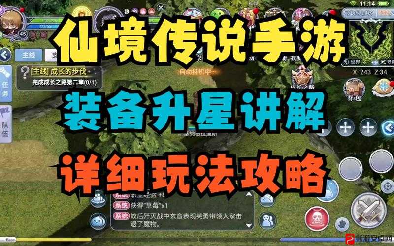 仙境传说复兴，全面解析主角升星方法与实用攻略